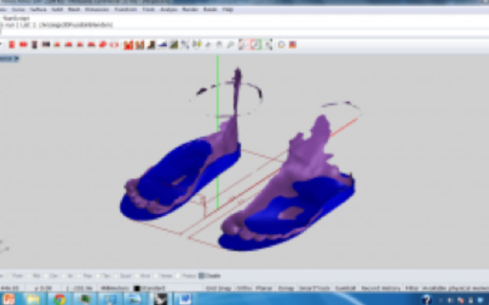 Zooltherapie 3D scan