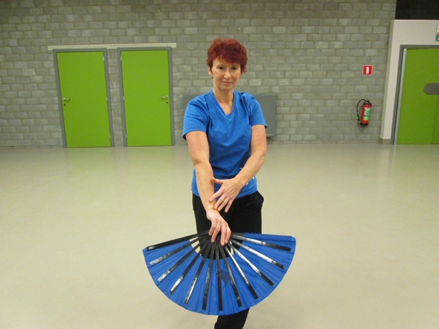 Lessen Tai Chi en Qigong in Lokeren